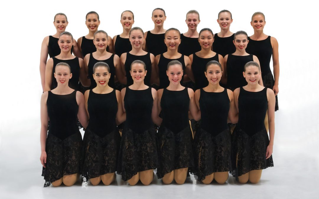 Meet the 2018/2019 Senior Team